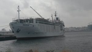 وصول أغنام رومانية بالاعتمادات الى ميناء طرابلس البحري