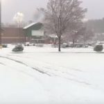 وفاة 21 شخص بسبب عاصفة قطبية فى الولايات المتحدة