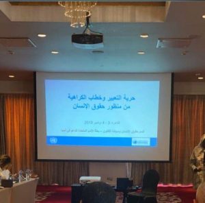 الامم المتحدة تنهي ورشة عمل حول الكراهية بمشاركة اعلاميون ونشطاء ليبييون في مصر