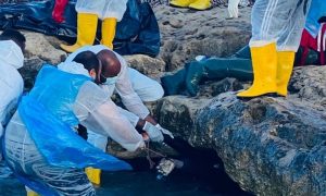 ليبيا: انتشال جثث مهاجرين بشواطئ صبراتة