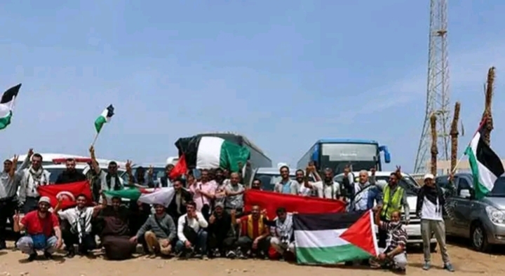 مصر ترحب بجهود دعم الفلسطينيين..وقافلة الصمود ملزمة بضوابط الدخول ..